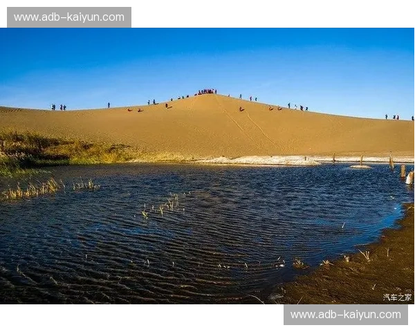 巅峰之弈:当江南飓风遇上大漠狂沙,这场“浙疆”对决凭什么让全网沸腾?